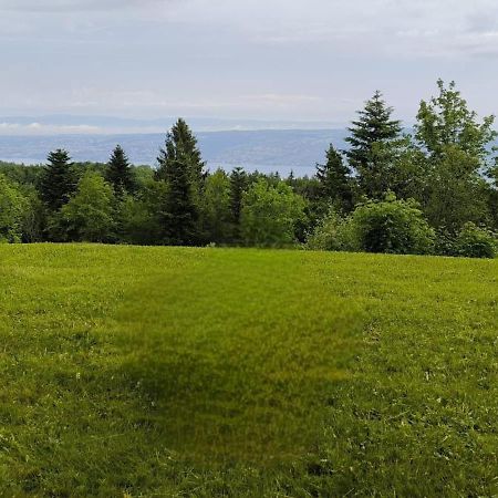 Le Panoramic Lejlighed Thollon-les-Memises Eksteriør billede